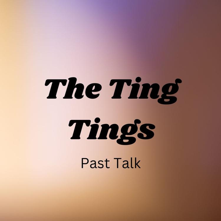 The Ting Tings's avatar image