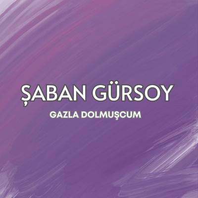 Şaban Gürsoy's cover