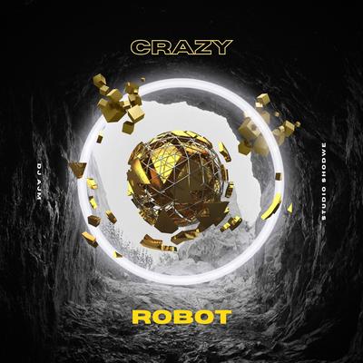 Crazy Robot By Dj Ajm's cover