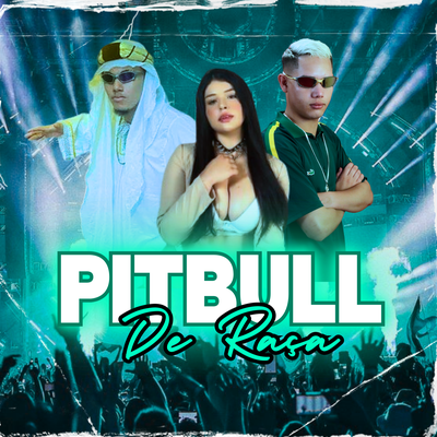 Pitbull de Raça By DJ Juninho da VS, MC Zudo Boladão, Mc Mary Maii's cover