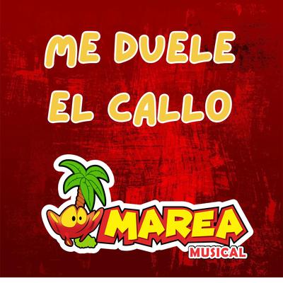 MAREA MUSICAL DE NAYARIT's cover