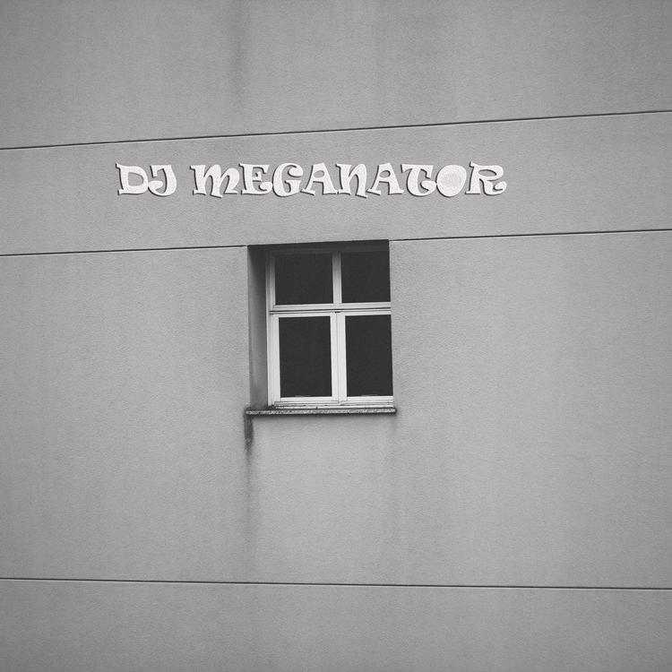 DJ MEGANATOR's avatar image