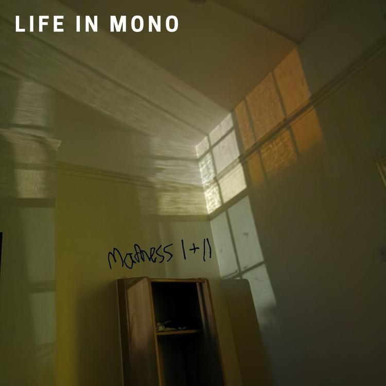 Life In Mono's avatar image