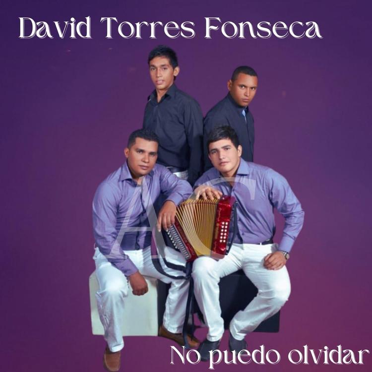 David Torres Fonseca's avatar image