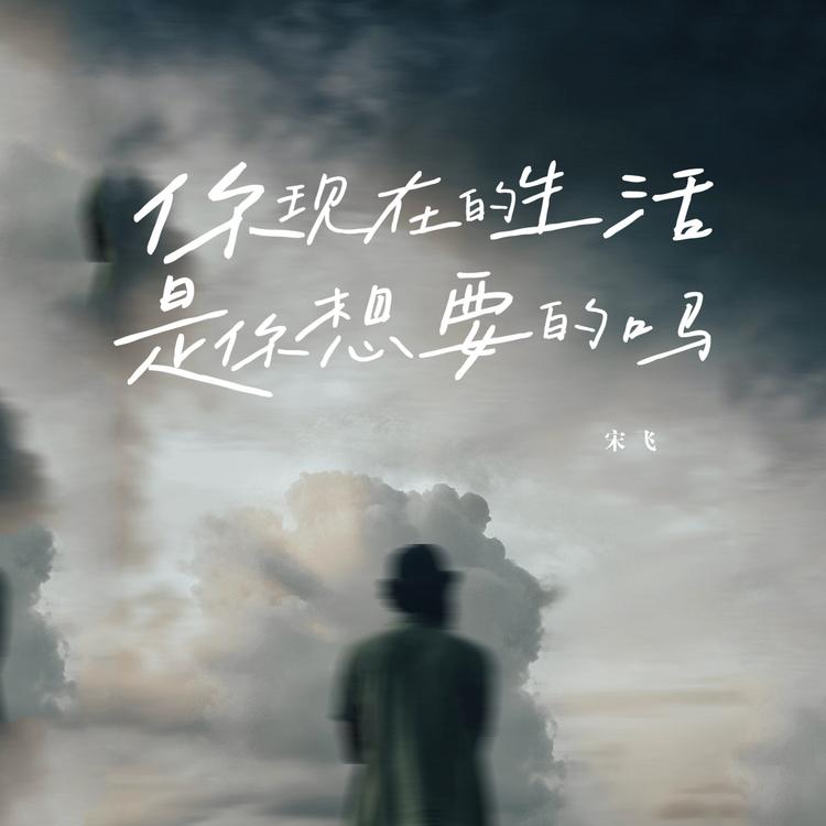 宋飞's avatar image