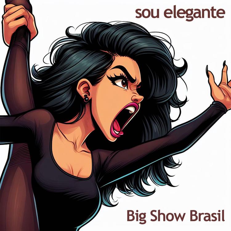 Big Show Brasil's avatar image