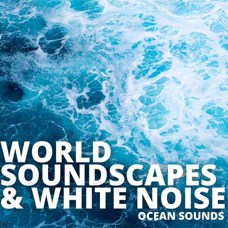 World Soundscapes & White Noise's avatar image