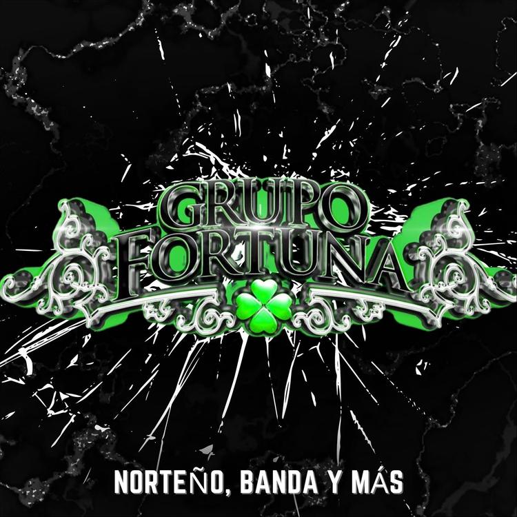 Grupo Fortuna's avatar image