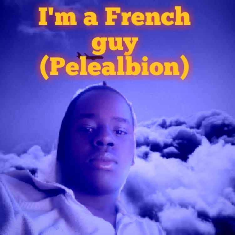 Pelealbion.'s avatar image