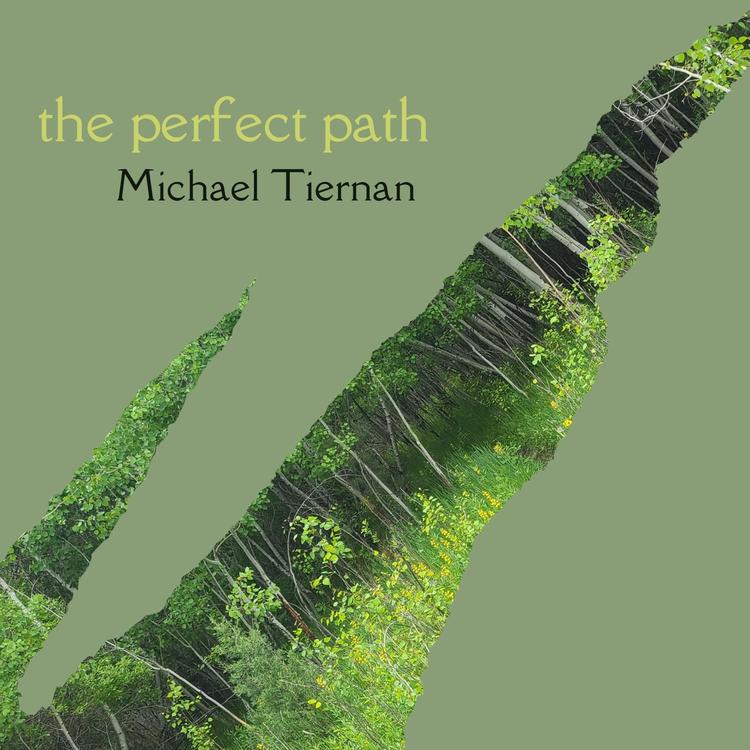 Michael Tiernan's avatar image