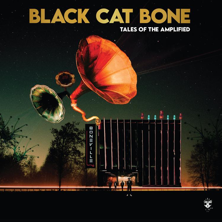 Black Cat Bone's avatar image