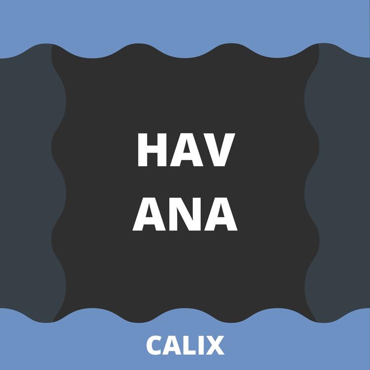 Calix's avatar image