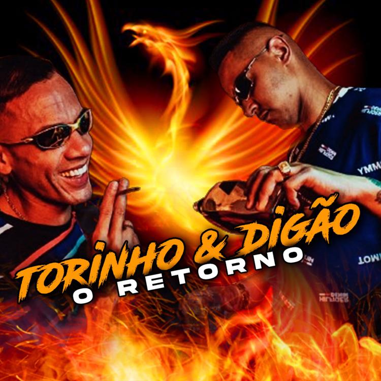 Torinho Digao's avatar image