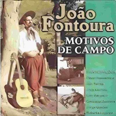 Quando a Alma Volta pra Terra By João Fontoura, Luiz Marenco's cover